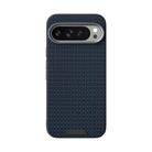 For Google Pixel 9 Pro XL ABEEL Ruyi Pattern 6D Micro Relief MagSafe Leather Phone Case(Blue) - 2