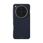 For OPPO Find X8 Pro ABEEL Ruyi Pattern 6D Micro Relief MagSafe Leather Phone Case(Blue) - 2