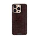 For iPhone 16 Pro Max ABEEL Ruyi Pattern 6D Micro Relief MagSafe Leather Phone Case(Brown) - 2