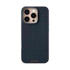 For iPhone 16 Pro Max ABEEL Ruyi Pattern 6D Micro Relief MagSafe Leather Phone Case(Blue) - 2