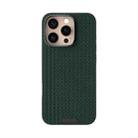 For iPhone 16 Pro Max ABEEL Ruyi Pattern 6D Micro Relief MagSafe Leather Phone Case(Green) - 2