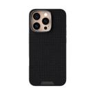 For iPhone 16 Pro ABEEL Ruyi Pattern 6D Micro Relief MagSafe Leather Phone Case(Black) - 2