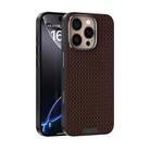 For iPhone 16 Pro ABEEL Ruyi Pattern 6D Micro Relief MagSafe Leather Phone Case(Brown) - 1