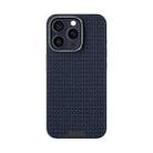 For iPhone 15 Pro Max ABEEL Ruyi Pattern 6D Micro Relief MagSafe Leather Phone Case(Blue) - 2
