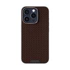 For iPhone 13 Pro Max ABEEL Ruyi Pattern 6D Micro Relief MagSafe Leather Phone Case(Brown) - 2