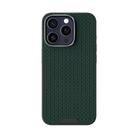 For iPhone 13 Pro Max ABEEL Ruyi Pattern 6D Micro Relief MagSafe Leather Phone Case(Green) - 2