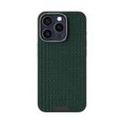 For iPhone 13 Pro ABEEL Ruyi Pattern 6D Micro Relief MagSafe Leather Phone Case(Green) - 2