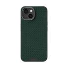 For iPhone 13 ABEEL Ruyi Pattern 6D Micro Relief MagSafe Leather Phone Case(Green) - 2
