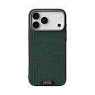 For iPhone 17 Pro Max ABEEL Ruyi Pattern 6D Micro Relief MagSafe Leather Phone Case(Green) - 2