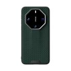 For Huawei Mate 60 RS Ultimate ABEEL Ruyi Pattern 6D Micro Relief Leather Phone Case(Green) - 2