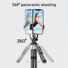 Lenovo Thinkplus H18B Flagship Stainless Steel Bluetooth Selfie Stick with Dual Fill Light, 1.8m(Black) - 2