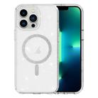 For iPhone 13 Pro Max Clear Glitter Powder MagSafe Phone Case(Transparent) - 1