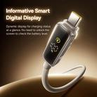 Baseus Power Visualization Series Type-C to Type-C 100W Fast Charging Cable, Cable Length:1m(Titanium) - 2