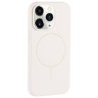 For iPhone 11 Pro Max Large Hole Camera MagSafe Liquid Silicone Full Coverage Phone Case(Antique White) - 1