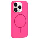 For iPhone 11 Pro Max Large Hole Camera MagSafe Liquid Silicone Full Coverage Phone Case(Rose Red) - 1