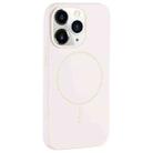 For iPhone 11 Pro Large Hole Camera MagSafe Liquid Silicone Full Coverage Phone Case(Antique White) - 1