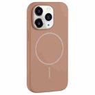 For iPhone 11 Pro Large Hole Camera MagSafe Liquid Silicone Full Coverage Phone Case(Gold) - 1