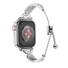 For Apple Watch 42mm / 41mm / 40mm / 38mm Kalebol Stone Curved Zinc Alloy Strap(Silver) - 2
