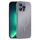 For iPhone 13 Pro Max Thin Circle MagSafe Skin-feel AG Glass Phone Case(Titanium Gray) - 1