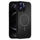 For iPhone 12 Pro Thin Circle MagSafe Skin-feel AG Glass Phone Case(Black) - 1