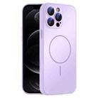 For iPhone 12 Pro Thin Circle MagSafe Skin-feel AG Glass Phone Case(Purple) - 1