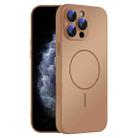 For iPhone 11 Pro Max Thin Circle MagSafe Skin-feel AG Glass Phone Case(Desert Gold) - 1