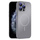For iPhone 11 Pro Max Thin Circle MagSafe Skin-feel AG Glass Phone Case(Titanium Gray) - 1