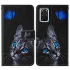 For Samsung Galaxy S20+ Cross Texture Painting Pattern Horizontal Flip Leather Case with Holder & Card Slots & Wallet & Lanyard(Blue Butterfly Cat Eyes) - 2