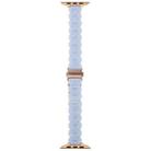 For Apple Watch 42mm / 41mm / 40mm / 38mm Oval Resin Watch Band(Mermaid Blue) - 3