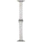 For Apple Watch 42mm / 41mm / 40mm / 38mm Oval Resin Watch Band(Flash White) - 3