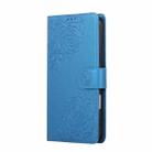 For iPhone 17 Pro Max Rose Flower Embossed 3-Card Slots Leather Phone Case(Blue) - 2