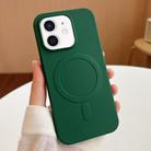 For iPhone 11 Stripe MagSafe TPU Phone Case(Dark Green) - 1