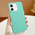 For iPhone 11 Stripe MagSafe TPU Phone Case(Mint Green) - 1