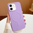 For iPhone 11 Stripe MagSafe TPU Phone Case(Light Purple) - 1