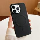 For iPhone 13 Pro Max Stripe MagSafe TPU Phone Case(Black) - 1