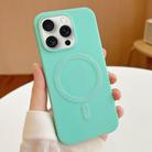 For iPhone 15 Pro Max Stripe MagSafe TPU Phone Case(Mint Green) - 1
