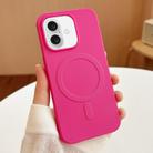 For iPhone 16 Stripe MagSafe TPU Phone Case(Rose Red) - 1