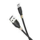 hoco U92 1.2m 2.4A USB to Type-C / USB-C Gold Collar Charging Data Cable(Black) - 1