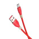 hoco U92 1.2m 2.4A USB to Type-C / USB-C Gold Collar Charging Data Cable(Red) - 1