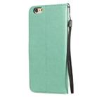 For iPhone 6 Plus Cat Bee Embossing Pattern Shockproof Horizontal Flip Leather Case with Holder & Card Slots & Wallet(Green) - 3