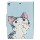 For iPad 9.7 (2018) / 9.7 (2017) Painted Pattern Horizontal Flip Leather Case with Holder & Card Slots & Wallet(Cat) - 3