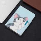 For iPad Mini / Mini 2 / Mini 3 / Mini 4  Painted Pattern Horizontal Flip Leather Case with Holder & Card Slots & Wallet(Cat) - 6