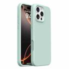 For iPhone 16 Pro Max Integrated Button Liquid Silicone Phone Case(Mambo Green) - 1