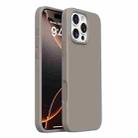 For iPhone 16 Pro Max Integrated Button Liquid Silicone Phone Case(Charcoal Grey) - 1