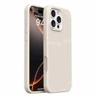 For iPhone 16 Pro Integrated Button Liquid Silicone Phone Case(Antique White) - 1