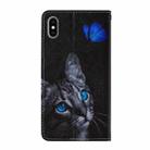 For iPhone XS Max Cross Texture Painting Pattern Horizontal Flip Leather Case with Holder & Card Slots & Wallet & Lanyard(Blue Butterfly Cats Eye) - 3