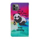 For iPhone 11 Pro Max Cross Texture Painting Pattern Horizontal Flip Leather Case with Holder & Card Slots & Wallet & Lanyard(Sleeping Baby) - 3