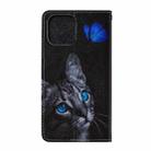 For iPhone 12 mini Cross Texture Painting Pattern Horizontal Flip Leather Case with Holder & Card Slots & Wallet & Lanyard(Blue Butterfly Cats Eye) - 3