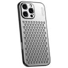For iPhone 16 Pro Honeycomb Radiating Alloy Phone Case(Space Silver) - 1
