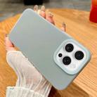 For iPhone 16 Pro Jelly Silicone Skin-feel Phone Case(Grey) - 1